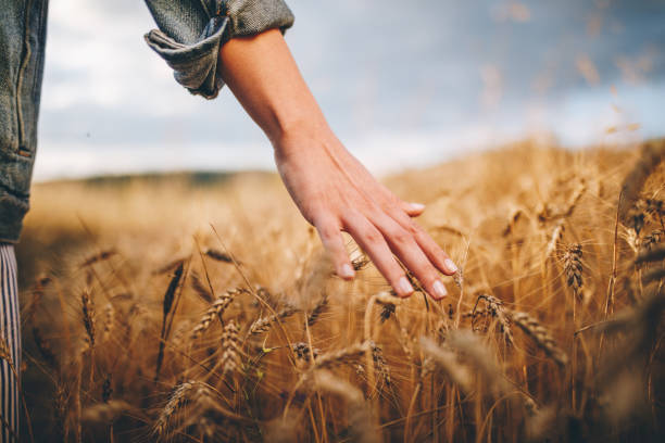 Agriculture